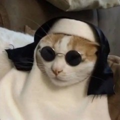 cool cat