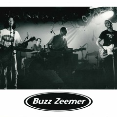 Buzz Zeemer