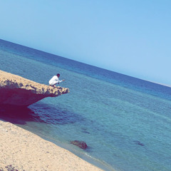 alwaleed s