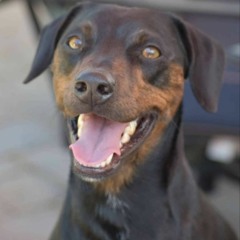 Natedog7b