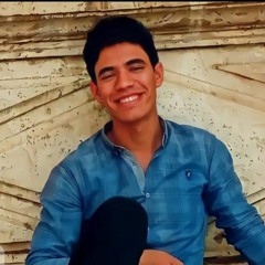 Mohamed Eid