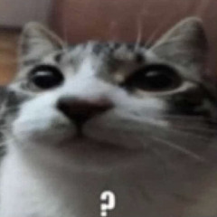 my