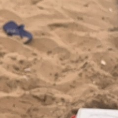 Alessandro Cavalcante