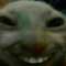4erry