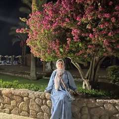 Heba Wahby