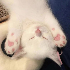 현정