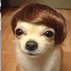 cần thêm nhạc TEZ để replay