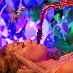 Déjà Buu // Sonic Alchemist 🎷