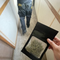 sativa