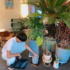 안동일