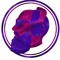 Vicmano Music
