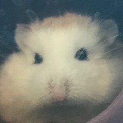 Lee