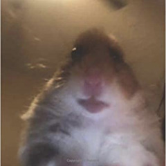 Big Al