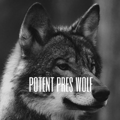Potent Pres Wolf