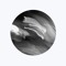 grey.png *°:⋆