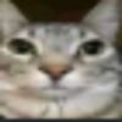 Account2