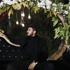Hesham Elgohary