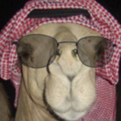العسيري