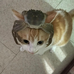 shi
