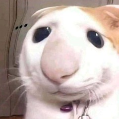 Nguyễn Tiến Đạt