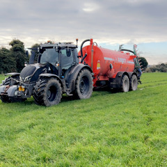 silage 20