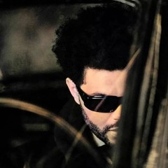 TotoWolf