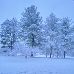 The Underground (King of The Fall)