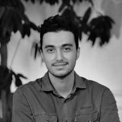 Mohammadreza