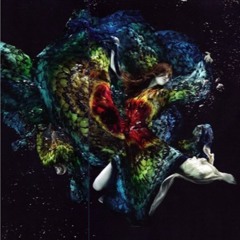 Nikola Bedingfield - GoldenPhoenix