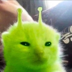 kattyyyss