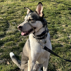 Alfredo Gutierrez 16