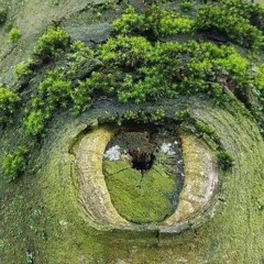 MinD
