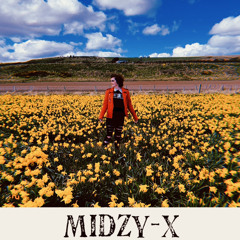 MidzyX