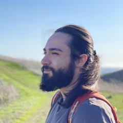 پیام شایانی