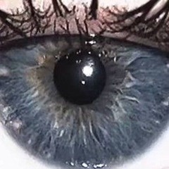 Евгений Новак