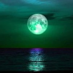 Баасанжав Ч.