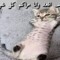 kakswoo