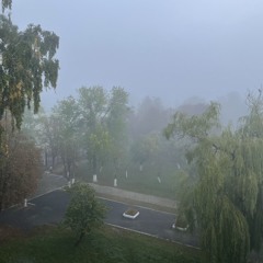 Alexandra Murashkina