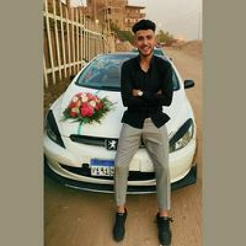 Assem Mostafa’s avatar