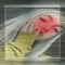 ♤AREANA☆ الههاادي