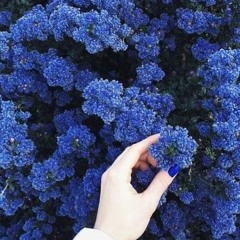 تذاكر يا هانم تذاكر يابيه_بصوت بسملة سراج