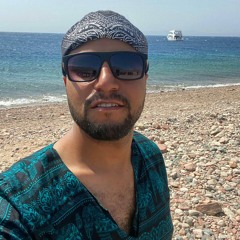 Bassam ElKhedr