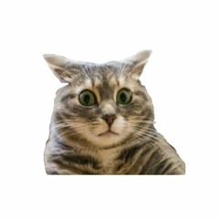 Luân Nguyễn Thành