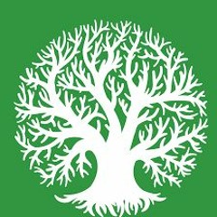 Revival-Game-Film-Portfolio