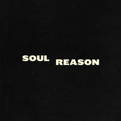 Soul Reason