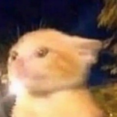 pinklawnmower5%offcurrentsellingprice