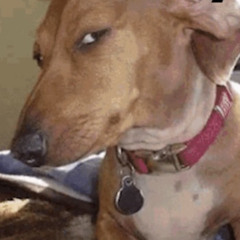 ‎נχριιтυя ༺☆༻