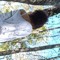 stupid girl music ₊˚⊹