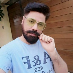 Dil deewana mera ho gaya(udit narayan)