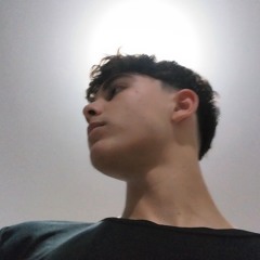 Brayan Brandao Guimaraes